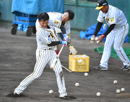 かごのボールがなくなるまで連続トス打撃を行う北條史也（撮影・清水貴仁）