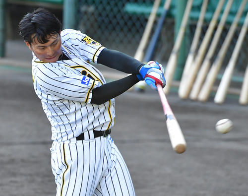 手をクロスさせてバットを握りトス打撃を行う北條史也（撮影・清水貴仁）