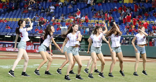 日本対台湾　試合前、ダンスを披露するCTガールス（撮影・加藤哉）