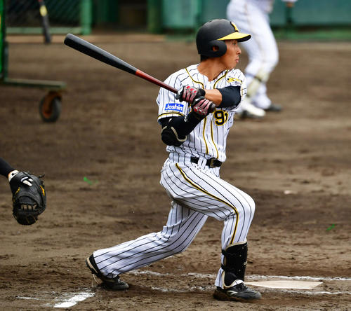 シート打撃で鋭くはじき返し右前打とする阪神片山雄哉（撮影・清水貴仁）