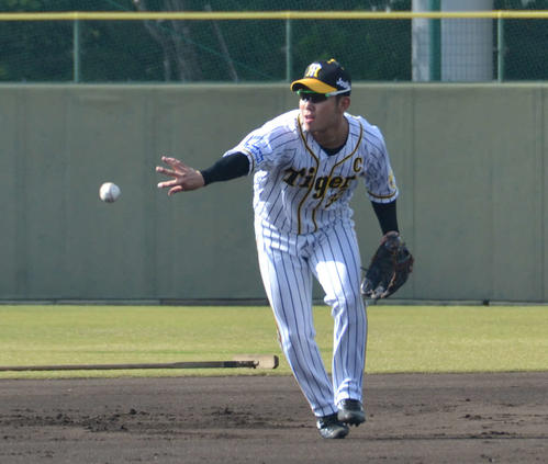 内野でノックを受け軽快にさばく阪神糸原