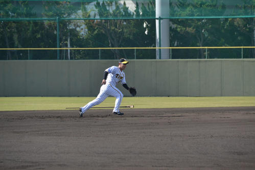 内野ノックを軽快に受ける阪神糸原