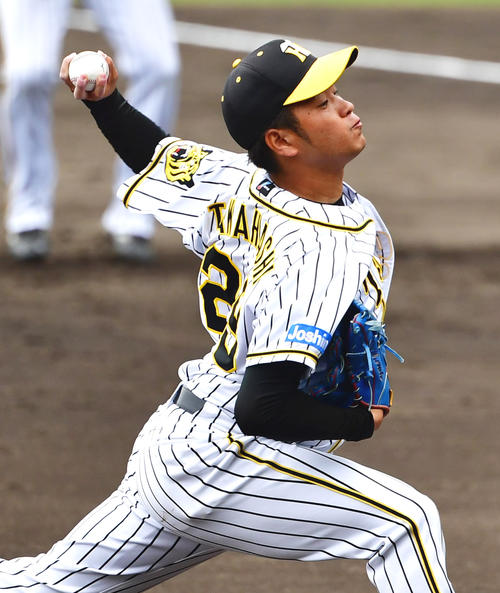 シート打撃に登板しチェンジアップを投げ込む阪神高橋遥（撮影・清水貴仁）