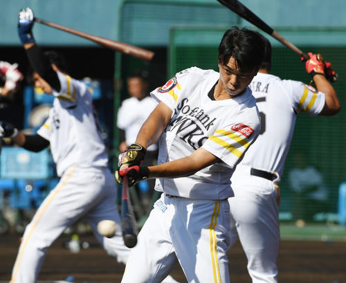 ロングティーで1箱のボールを打ち込むソフトバンク育成の田城飛翔（撮影・今浪浩三）