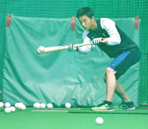 休日返上で黙々とバント練習を行う熊谷（撮影・清水貴仁）