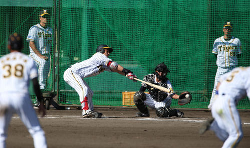 ケース打撃で青柳の投球に空振りする木浪（撮影・上山淳一）