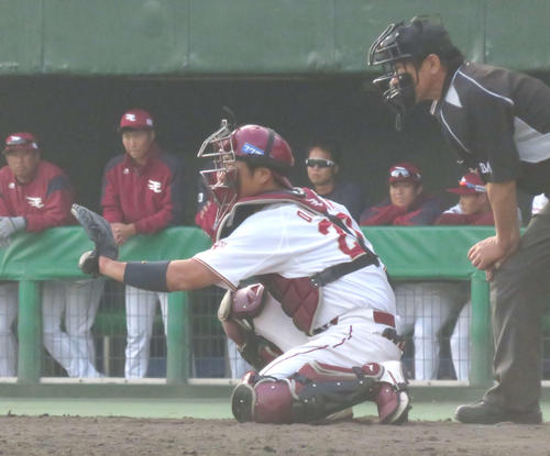 練習試合でマスクをかぶる楽天岡島（撮影・桑原幹久）