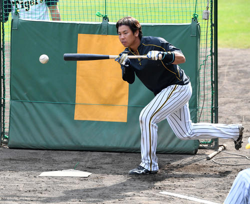 バント練習を行う梅野、午後0時25分（撮影・前岡正明）