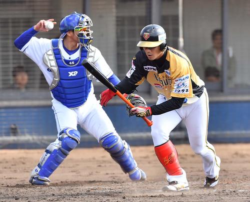 トライアウト第4打席で三振に倒れる西岡剛（撮影・上田博志）