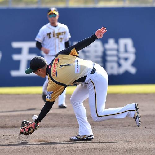 西岡剛 考えるものあった 思い出ある球場で４の０ プロ野球写真ニュース 日刊スポーツ