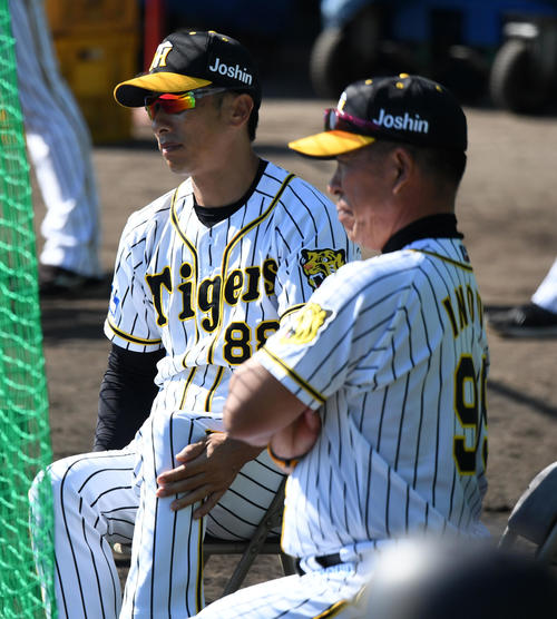 シート打撃を見る矢野監督（左）と井上コーチ（撮影・前岡正明）