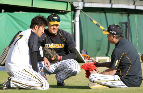 山本昌臨時コーチは座って阪神岩貞（左）、藤浪（中央）に話す（撮影・上山淳一）