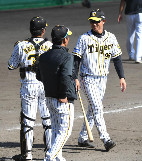 阪神守備力向上へ ノーエラー27アウトノック実施 プロ野球写真ニュース 日刊スポーツ