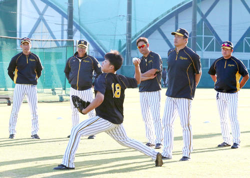 サブグラウンドで馬場（手前）の投球を見る、左から矢野監督、福原投手コーチ、金村投手コーチ、山本昌臨時コーチ、安藤育成コーチ（撮影・上山淳一）