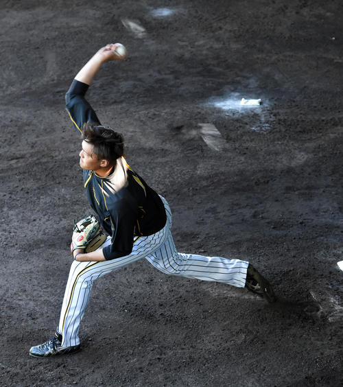 ブルペンで投球練習を行う秋山（撮影・前岡正明）