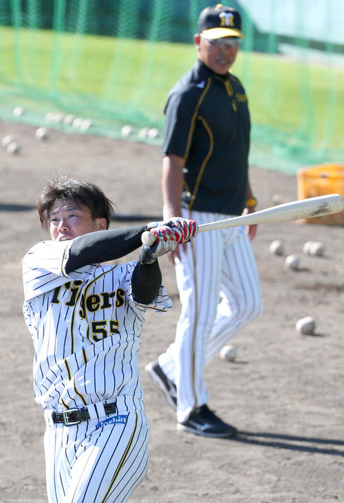 井上打撃コーチ（後方）が見守る中、ロングティーで汗を流す阪神陽川（撮影・上山淳一）