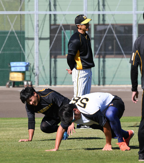 クロスカントリーでワニ歩きに苦しむ植田（左）と飯田。後方は矢野監督（撮影・前岡正明）