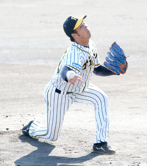 阪神・紅白戦　白組先発の青柳（撮影・上山淳一）