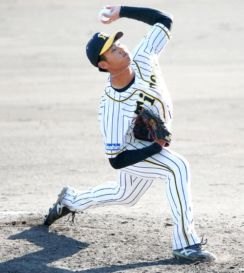 阪神・紅白戦　紅組3番手の石井（撮影・上山淳一）