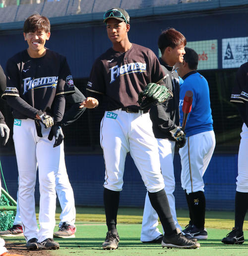 練習中にチームメートと話す日本ハム万波（中央）（撮影・山崎純一）