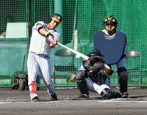 紅白戦　5回裏白組無死、木浪は右前打を放つ（撮影・前岡正明）