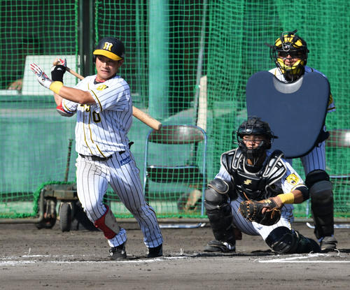紅白戦　5回裏白組無死、木浪は右前打を放つ（撮影・前岡正明）