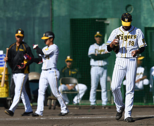 紅白戦　4回裏白組1死、板山に四球を与えうなだれる藤浪（撮影・前岡正明）