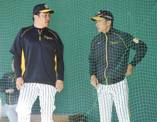 ブルペンで話す山本昌臨時コーチ（左）と矢野監督（撮影・前岡正明）