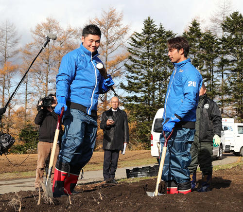 応援大使で由仁町を訪れた日本ハム清宮は収穫した長芋が途中で折れ渋い表情。右は上原（撮影・黒川智章）