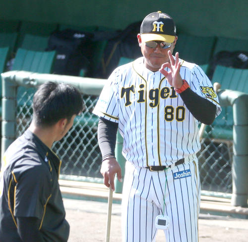 練習を見守る阪神北川打撃コーチ（撮影・上山淳一）