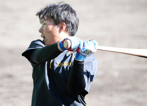 打撃練習で汗を流す北條（撮影・上山淳一）