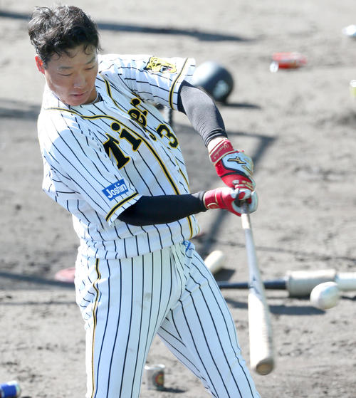 打撃練習で汗を流す大山（撮影・上山淳一）