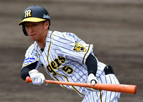 2019年11月7日、近本が秋季キャンプで使用していた、グリップエンドに向かってややテーパー状のオレンジ色のバット