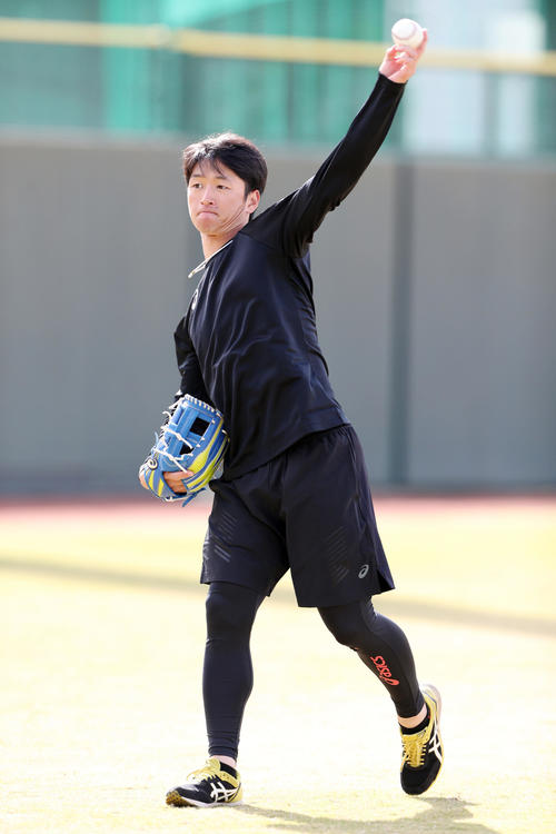鳴尾浜球場でキャッチボールで汗を流す阪神近本（撮影・前田充）