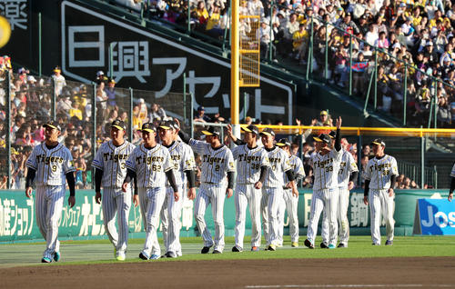 スタンドに手を振りながら場内1周する阪神ナイン（撮影・加藤哉）
