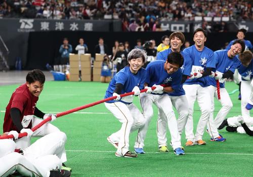 日本ハムファンフェスティバル　笑顔で綱引きする左から金子、白村、公文、斎藤、浦野（撮影・黒川智章）