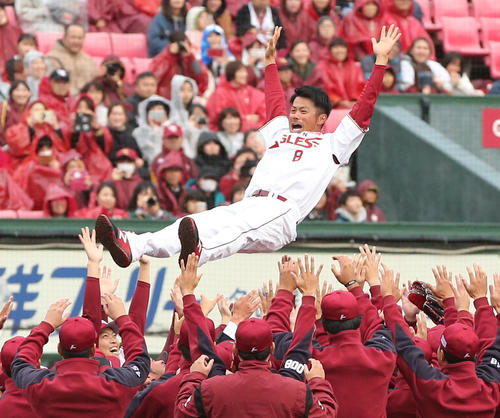 引退セレモニーで胴上げされる楽天今江（撮影・野上伸悟）