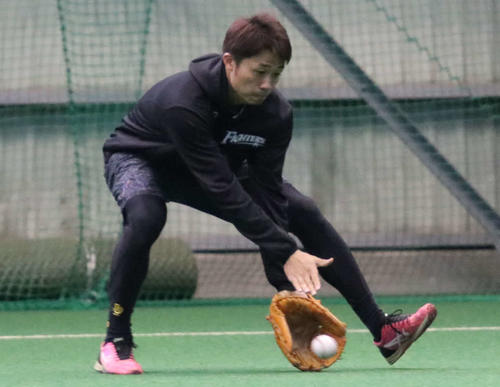 日本ハム中島卓也（2019年11月9日撮影）