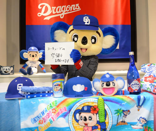 契約更改を終え会見の席で来年ユーチューバーへの挑戦を表明したドアラ（撮影・森本幸一）