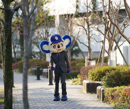 契約更改の行われる球団事務所へ向かうドアラ（撮影・森本幸一）