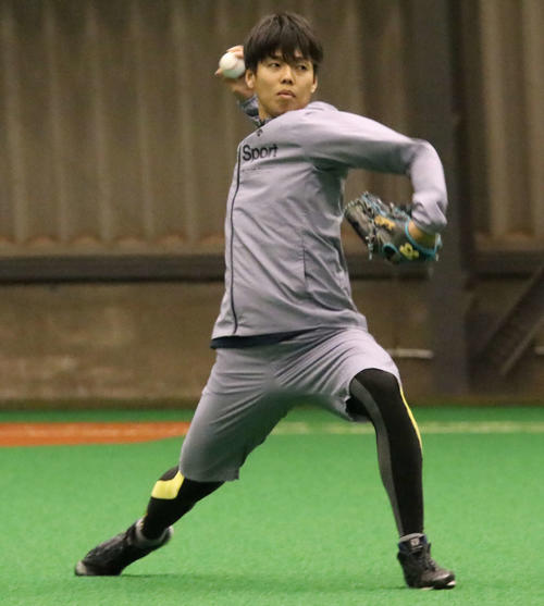 室内練習場でキャッチボールをする日本ハム杉浦（撮影・山崎純一）