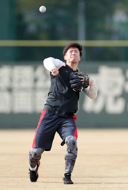 鳴尾浜球場で汗を流す阪神陽川（撮影・前田充）