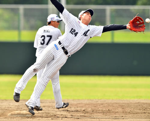 シートノックで横っ飛びするロッテ茶谷（2019年2月7日）