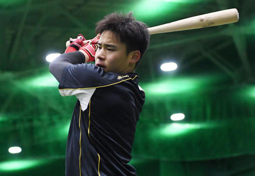力強いティー打撃を見せる見せる阪神・遠藤（撮影・前岡正明）