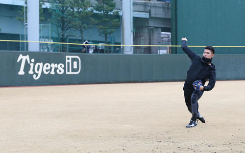 鳴尾浜球場での自主トレでキャッチボールする西純矢（撮影・白石智彦）