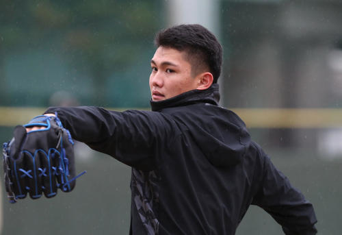 鳴尾浜球場での自主トレでキャッチボールする西純矢（撮影・白石智彦）