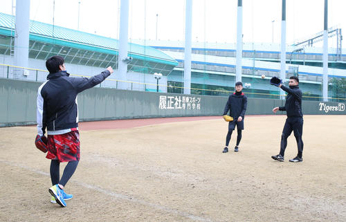 ルーキー3人でキャッチボールする小川一平（左）、及川雅貴（右奥）、西純矢（撮影・白石智彦）
