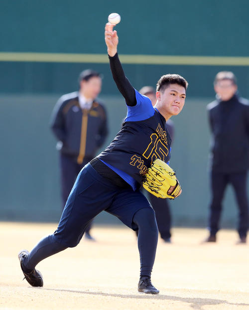 新人合同自主トレでキャッチボールする西純（撮影・加藤哉）