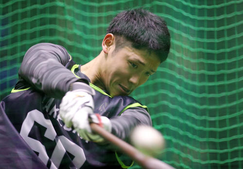 真剣な表情で打撃練習を行うヤクルト6位武岡龍世（撮影・狩俣裕三）