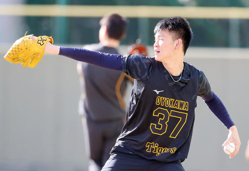 新人合同自主トレでキャッチボールする及川（撮影・加藤哉）